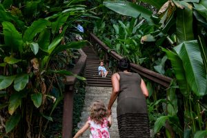 Young boy up steps against Tropical rain forest
