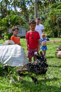 Triplets chase ducks in Fiji