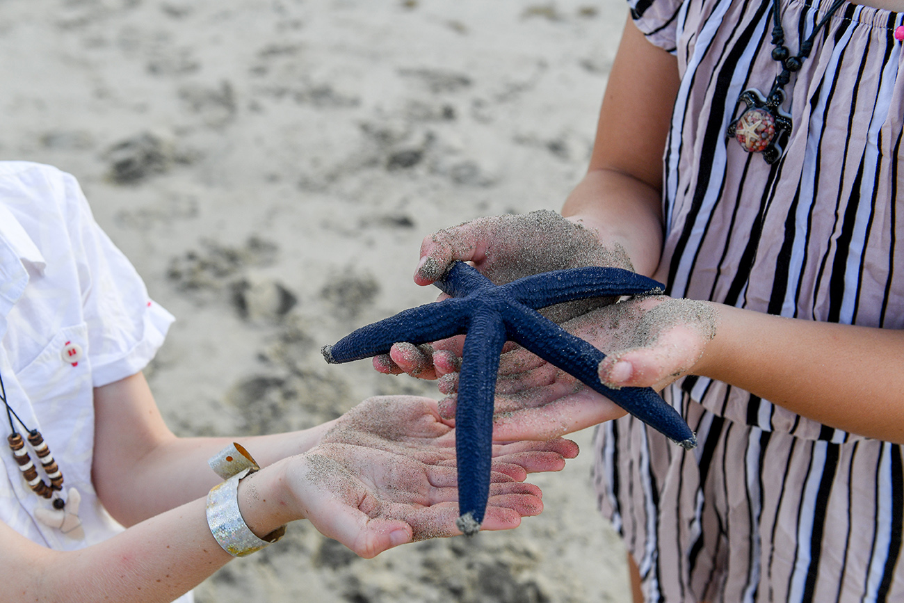 Cute dark blue starfish picked on the beach