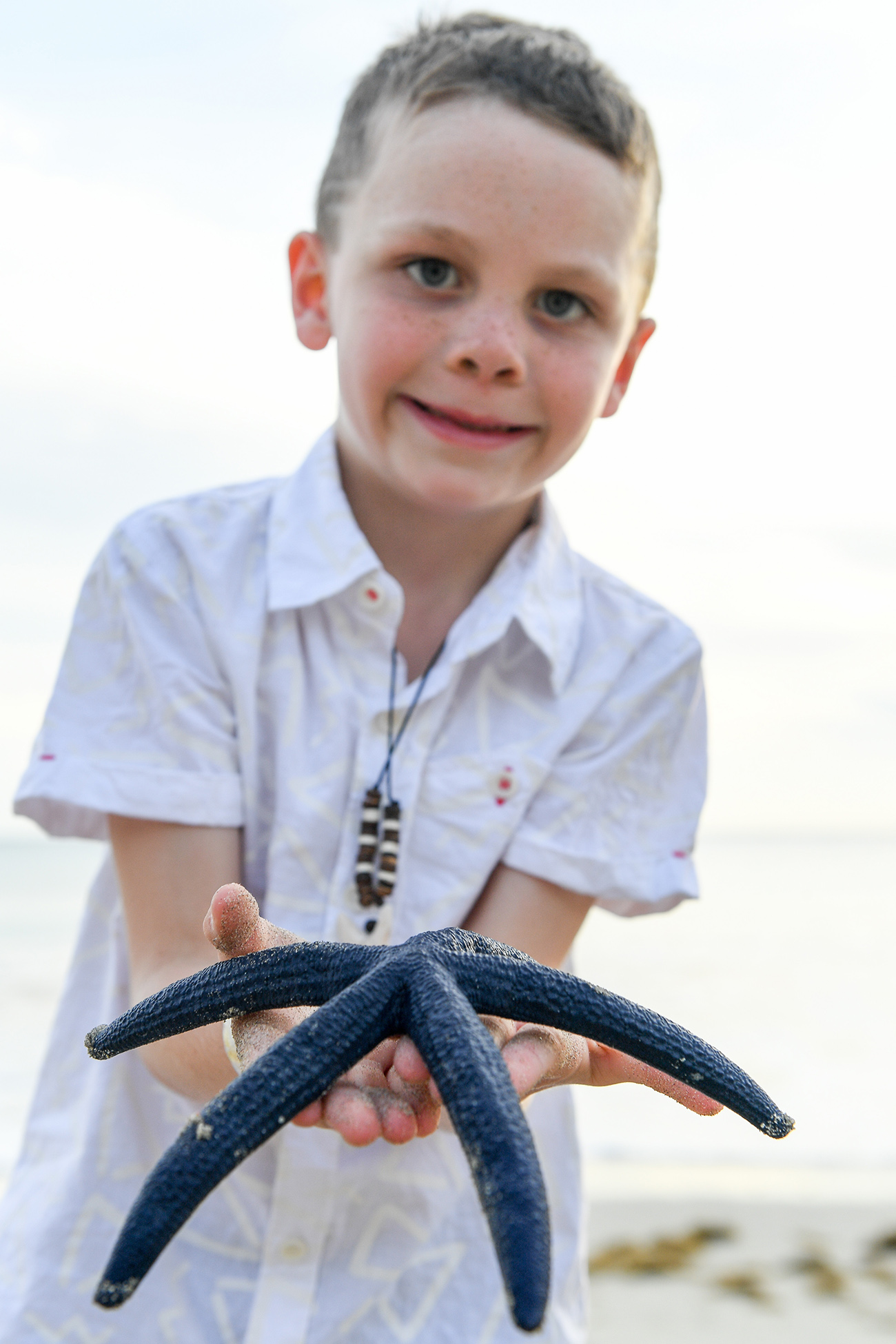 Young boy holds live dark blue starfish in family photoshoot