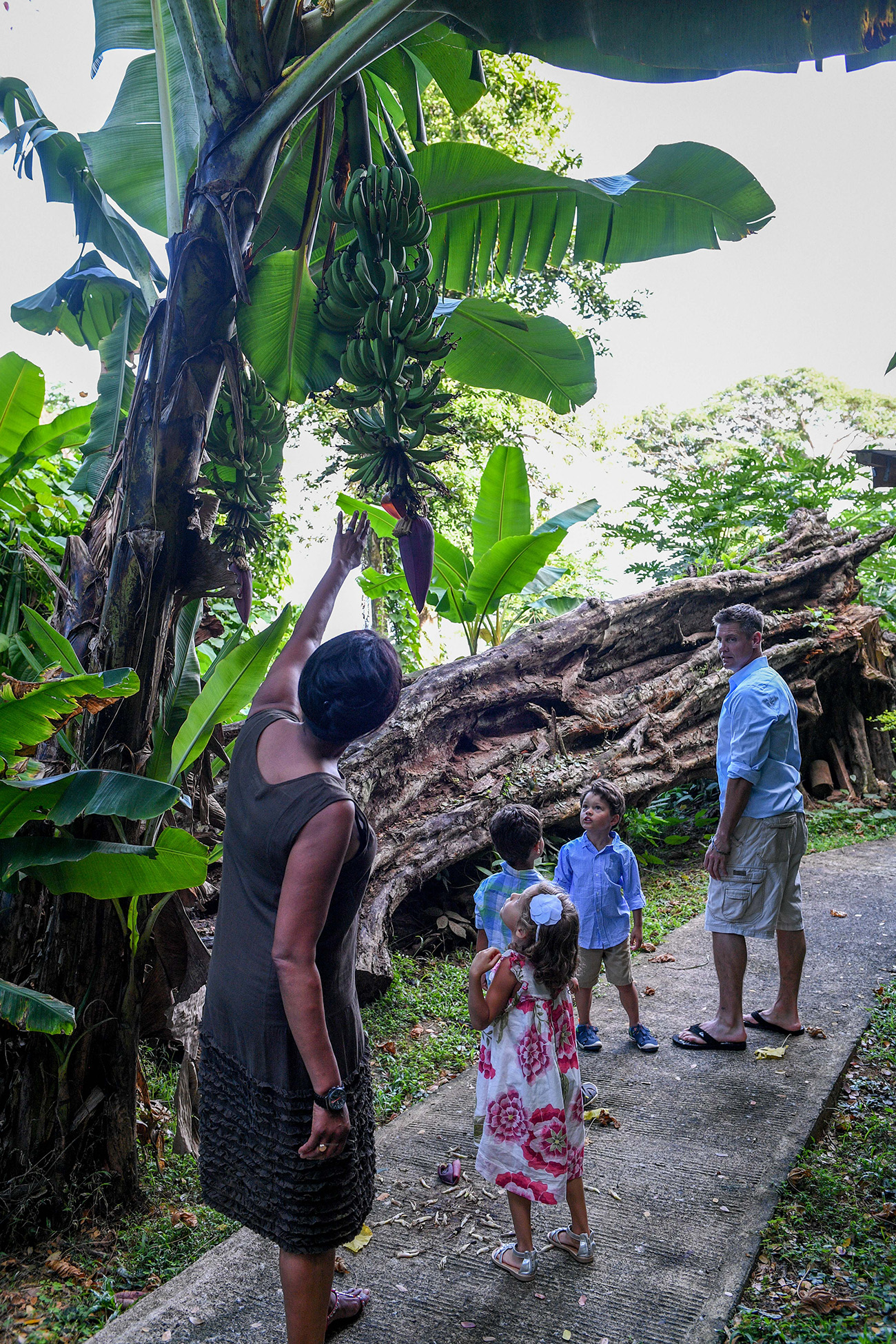 Mixed race family walk through tropical rain forest in Fiji