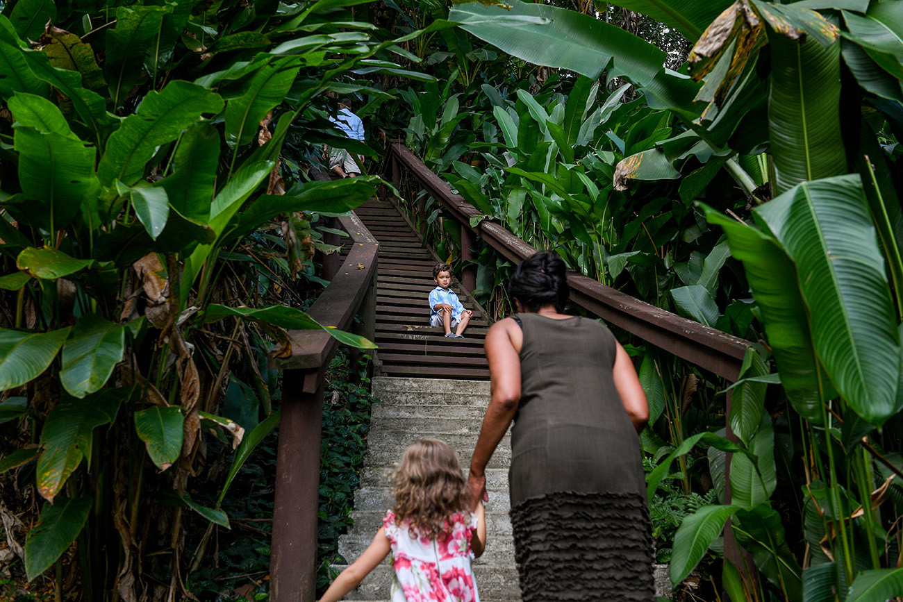 Young boy up steps against Tropical rain forest