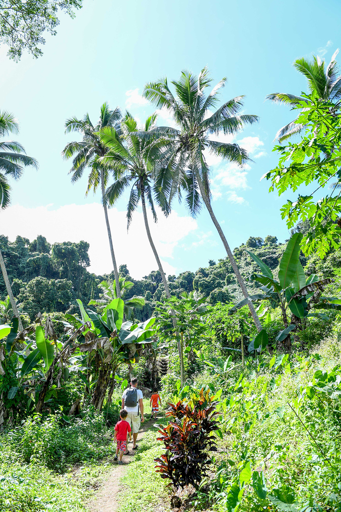 Tropical rainforest in Fiji captured by Fiji photographer Anais Chaine
