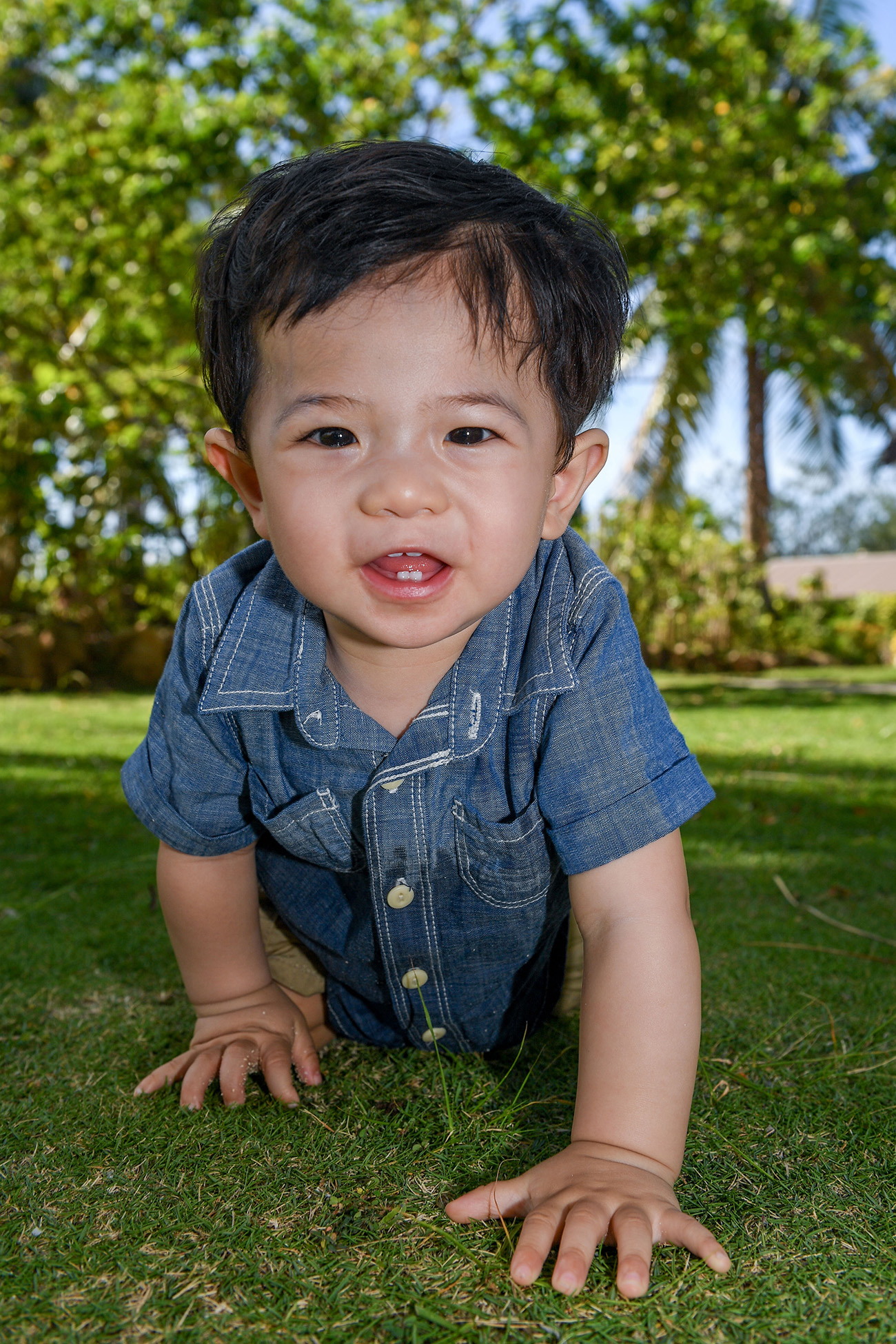 The cute little boy crawls on the green lawn at Plantation Island Resort towards the camera